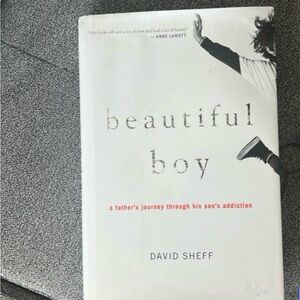 Beautiful Boy by David Sheff Book